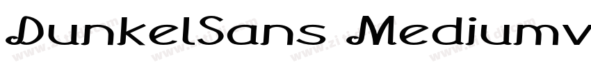 DunkelSans Mediumv字体转换